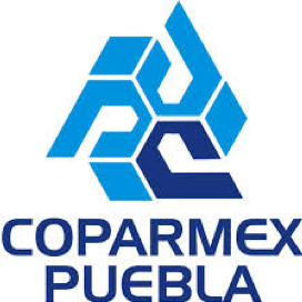 consultoría en Puebla